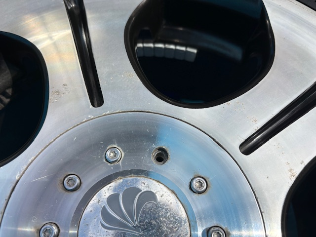 クリムソン クラブリネア Salita（都筑店）の画像5