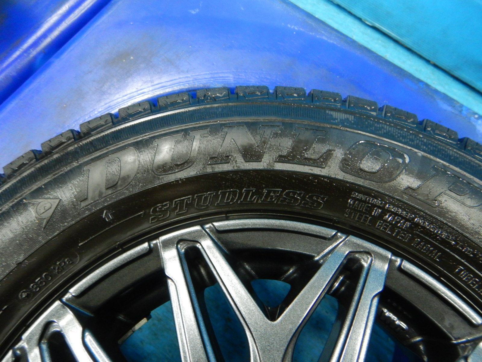 SIBILLA NEXT W45（都筑店）の画像4